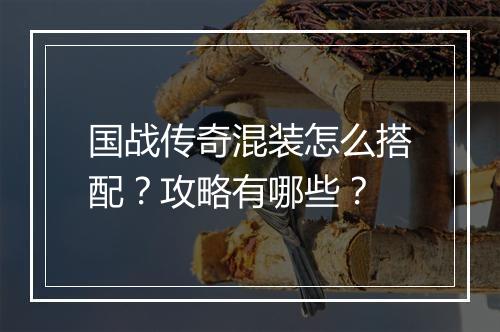 国战传奇混装怎么搭配？攻略有哪些？
