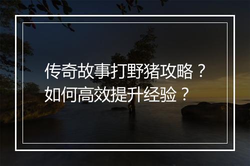 传奇故事打野猪攻略？如何高效提升经验？