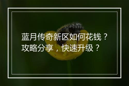 蓝月传奇新区如何花钱？攻略分享，快速升级？