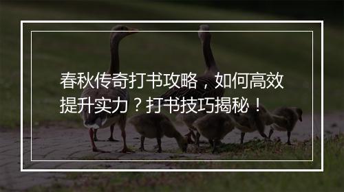 春秋传奇打书攻略，如何高效提升实力？打书技巧揭秘！