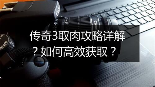 传奇3取肉攻略详解？如何高效获取？
