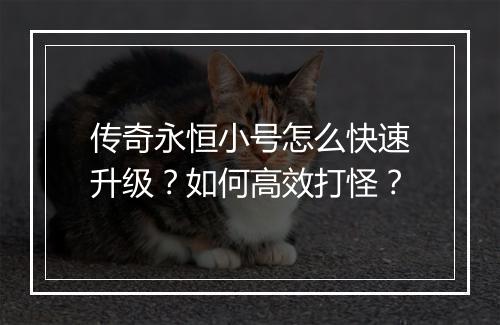 传奇永恒小号怎么快速升级？如何高效打怪？
