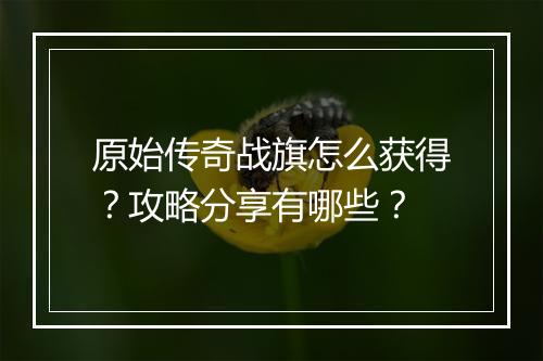原始传奇战旗怎么获得？攻略分享有哪些？