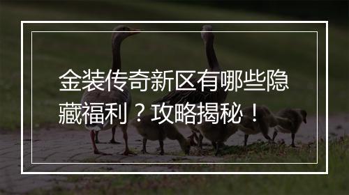金装传奇新区有哪些隐藏福利？攻略揭秘！