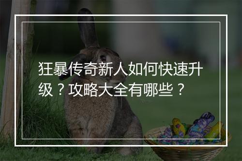 狂暴传奇新人如何快速升级？攻略大全有哪些？