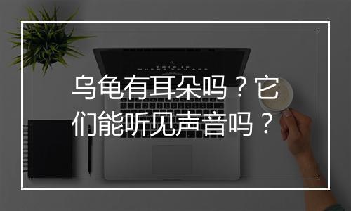 乌龟有耳朵吗？它们能听见声音吗？