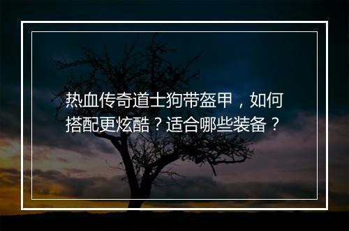 热血传奇道士狗带盔甲，如何搭配更炫酷？适合哪些装备？