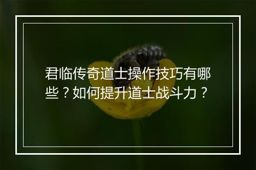 君临传奇道士操作技巧有哪些？如何提升道士战斗力？