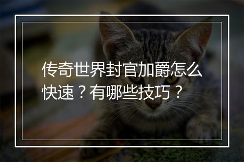 传奇世界封官加爵怎么快速？有哪些技巧？
