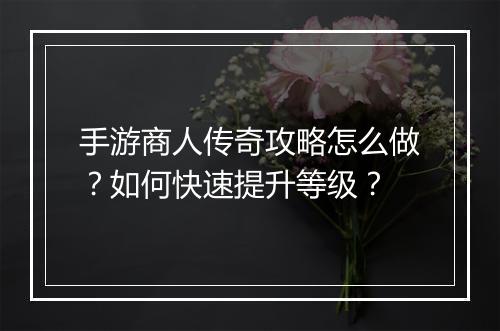 手游商人传奇攻略怎么做？如何快速提升等级？
