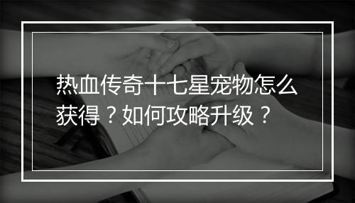 热血传奇十七星宠物怎么获得？如何攻略升级？