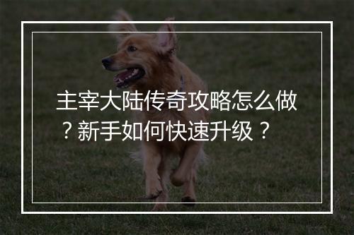 主宰大陆传奇攻略怎么做？新手如何快速升级？