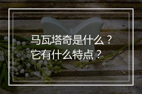 马瓦塔奇是什么？它有什么特点？