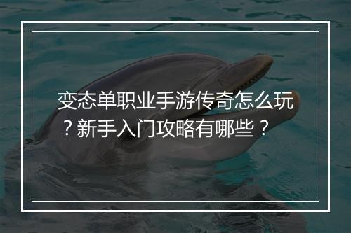 变态单职业手游传奇怎么玩？新手入门攻略有哪些？