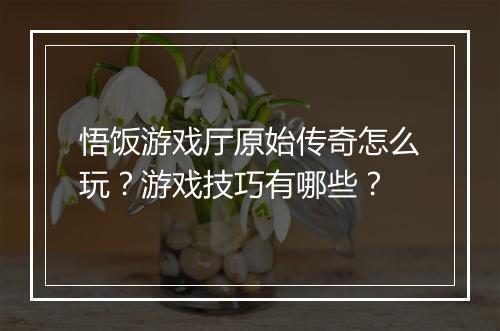 悟饭游戏厅原始传奇怎么玩？游戏技巧有哪些？