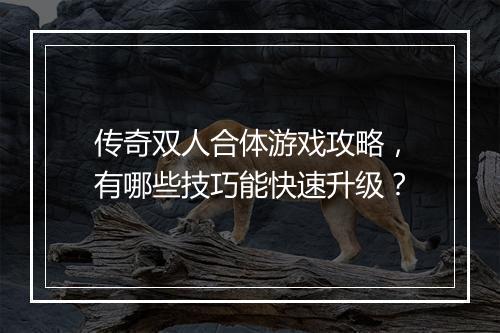 传奇双人合体游戏攻略，有哪些技巧能快速升级？