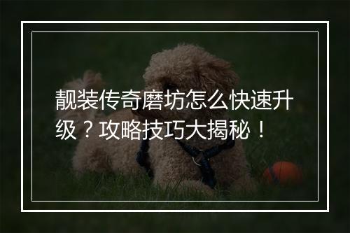 靓装传奇磨坊怎么快速升级？攻略技巧大揭秘！