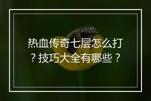 热血传奇七层怎么打？技巧大全有哪些？