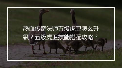 热血传奇法师五级虎卫怎么升级?五级虎卫技能搭配攻略?