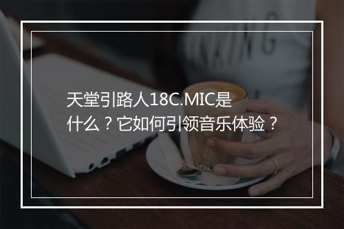 天堂引路人18C.MIC是什么？它如何引领音乐体验？