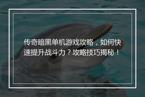 传奇暗黑单机游戏攻略，如何快速提升战斗力？攻略技巧揭秘！