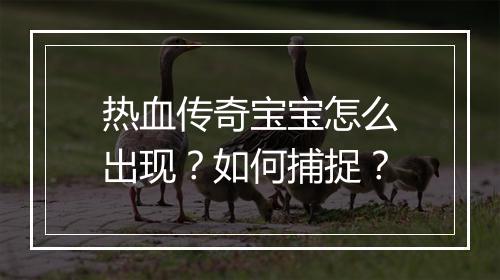热血传奇宝宝怎么出现？如何捕捉？