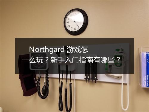 Northgard 游戏怎么玩？新手入门指南有哪些？