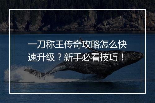 一刀称王传奇攻略怎么快速升级？新手必看技巧！