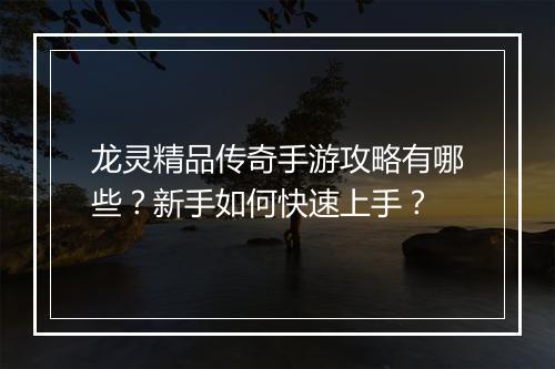龙灵精品传奇手游攻略有哪些？新手如何快速上手？