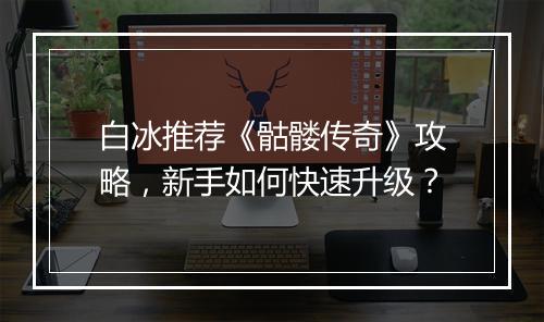 白冰推荐《骷髅传奇》攻略，新手如何快速升级？