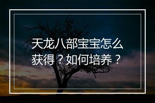 天龙八部宝宝怎么获得？如何培养？