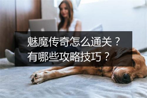 魅魔传奇怎么通关？有哪些攻略技巧？