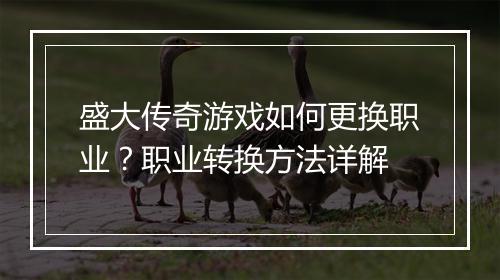盛大传奇游戏如何更换职业？职业转换方法详解