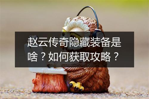 赵云传奇隐藏装备是啥？如何获取攻略？