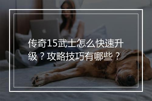 传奇15武士怎么快速升级？攻略技巧有哪些？
