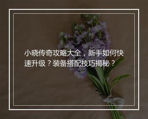 小晓传奇攻略大全，新手如何快速升级？装备搭配技巧揭秘？
