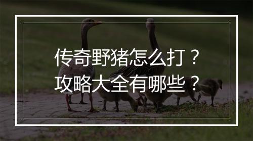 传奇野猪怎么打？攻略大全有哪些？