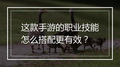 这款手游的职业技能怎么搭配更有效？