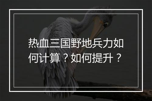 热血三国野地兵力如何计算？如何提升？