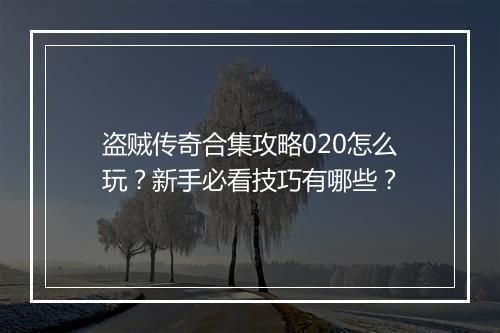 盗贼传奇合集攻略020怎么玩？新手必看技巧有哪些？