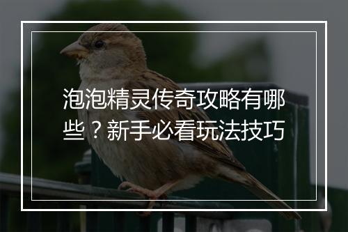 泡泡精灵传奇攻略有哪些？新手必看玩法技巧