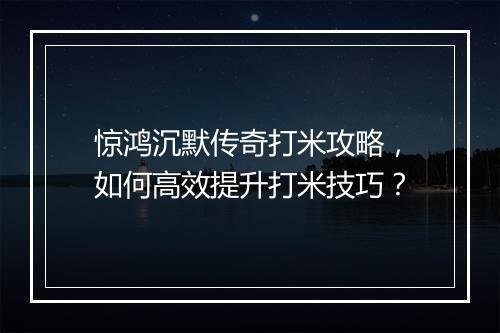 惊鸿沉默传奇打米攻略，如何高效提升打米技巧？