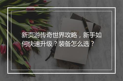 新页游传奇世界攻略，新手如何快速升级？装备怎么选？