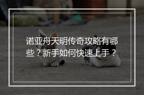 诺亚舟天明传奇攻略有哪些？新手如何快速上手？