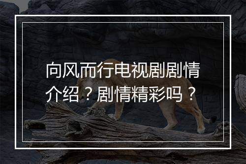 向风而行电视剧剧情介绍？剧情精彩吗？