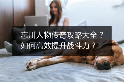 忘川人物传奇攻略大全？如何高效提升战斗力？