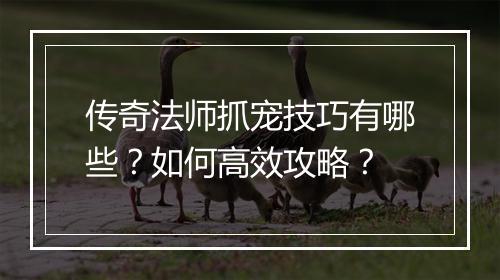 传奇法师抓宠技巧有哪些？如何高效攻略？