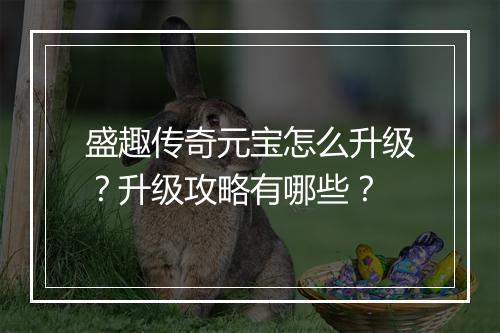 盛趣传奇元宝怎么升级？升级攻略有哪些？