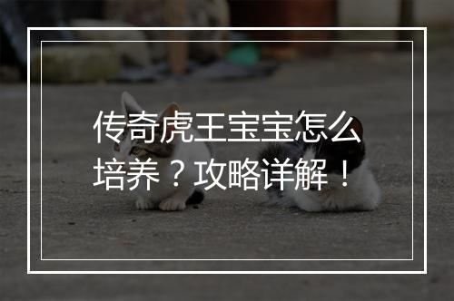 传奇虎王宝宝怎么培养？攻略详解！
