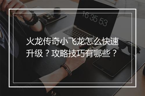火龙传奇小飞龙怎么快速升级？攻略技巧有哪些？
